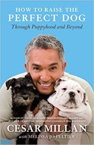 Top ten Dog Training books